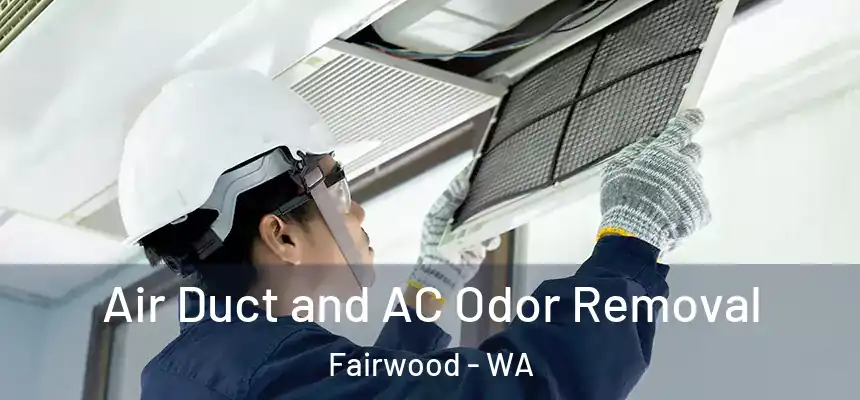  Air Duct and AC Odor Removal Fairwood - WA