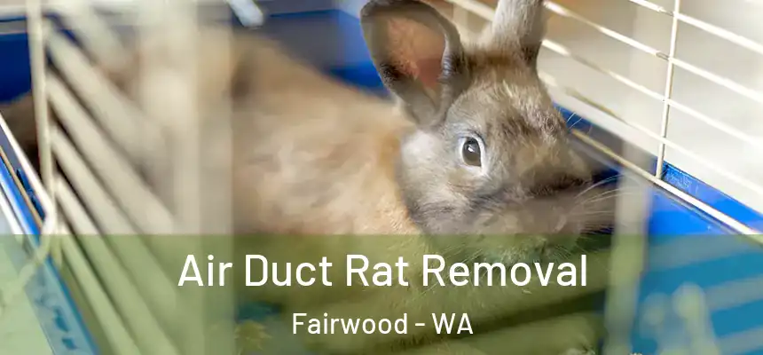  Air Duct Rat Removal Fairwood - WA