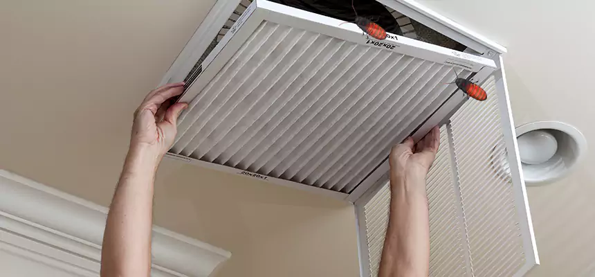 Preventive Cockroach-Proofing for Ducts in Fairwood