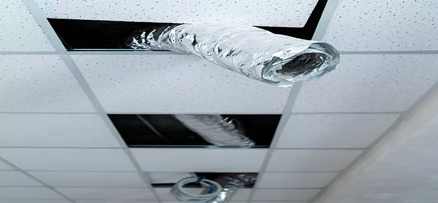 Our Air Duct Pet Hair Removal Services in Fairwood, WA