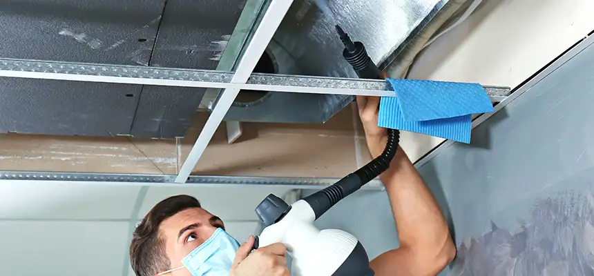 Our Air Duct Rodent Removal Services in Fairwood, WA