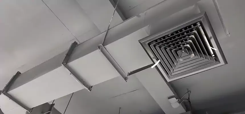 Our Pest Removal From Ducts Services in Fairwood, WA