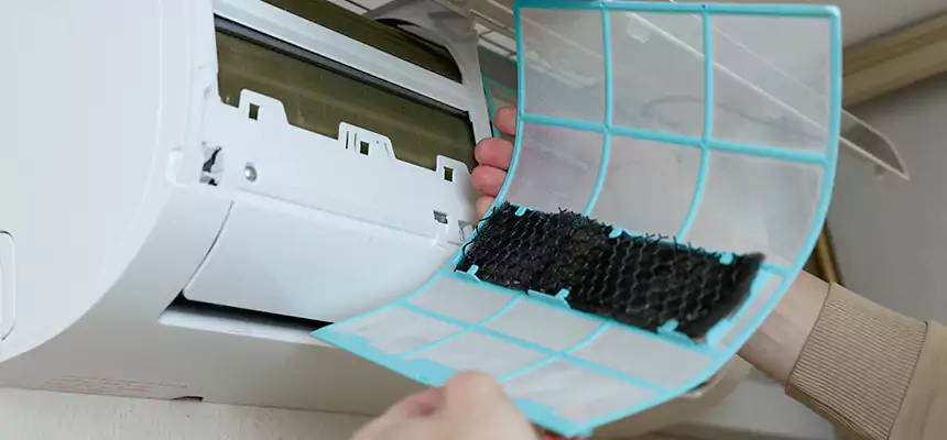 Gentle Ductwork Odor-Control Pet Dander Duct Cleaning in Fairwood, WA