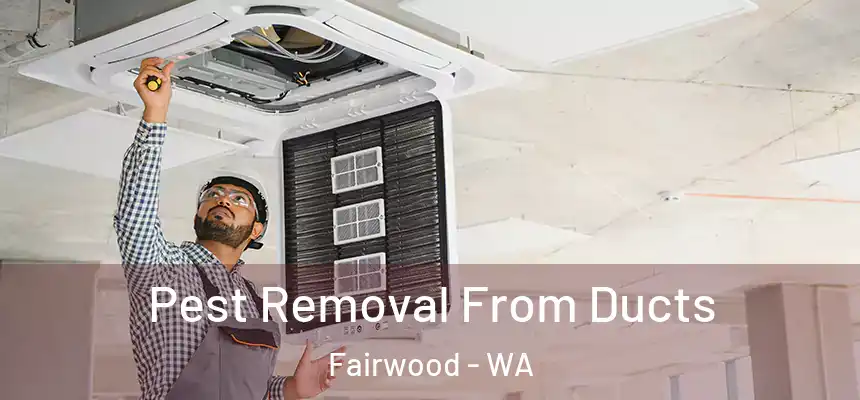  Pest Removal From Ducts Fairwood - WA