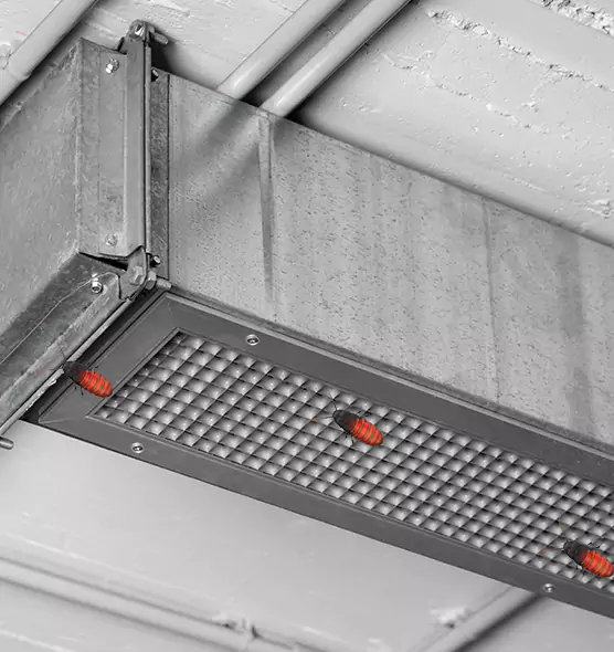 About Air Duct Cockroach Removal in Fairwood, WA