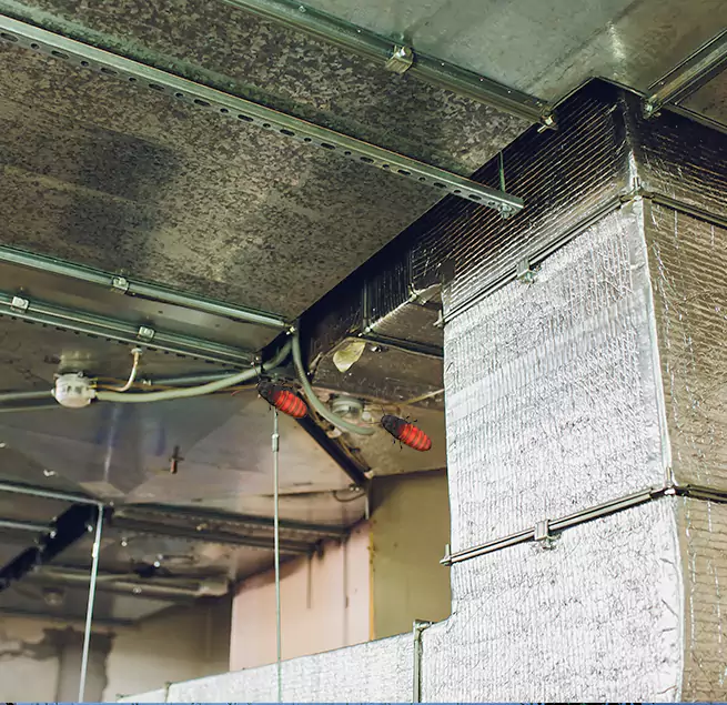 Why Homeowners & Businesses Trust Us in Fairwood, WA?