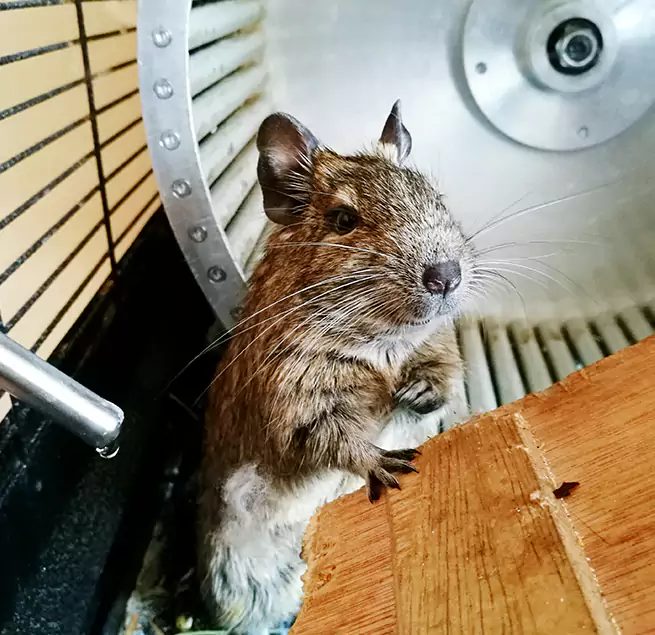 Why Homeowners & Businesses Trust Us Fairwood, WA?