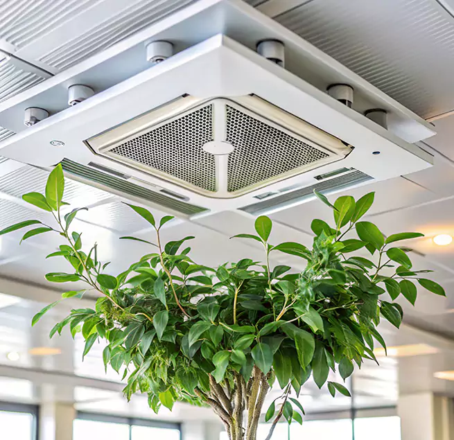 Why Homeowners & Businesses Trust Us in Fairwood, WA