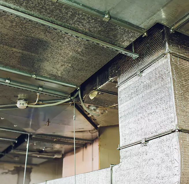 Why Homeowners & Businesses Trust Us in Fairwood, WA?